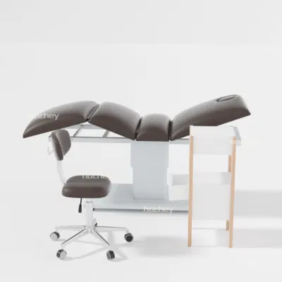 Hochey pas cher offre spéciale Salon de beauté 2 moteurs SPA meubles électrique lit de Massage cosmétique visage beauté lit pédicure chaise